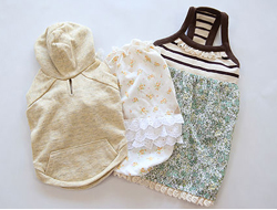 �ڕW�C���[�W