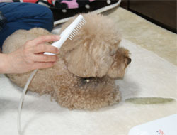 �ڕW�C���[�W